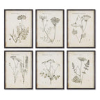 Vintage Monochromatic Botanical Wildflower Wall Art (set of 6) - House Of Avana