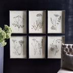 Vintage Monochromatic Botanical Wildflower Wall Art (set of 6) - House Of Avana