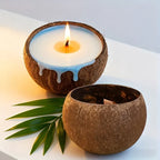 Natural Coconut Shell Candle - Tropical Beach Scented Soy Wax Candle in Coconut Bowl Holder, 3.94"x2.76"... - House Of Avana