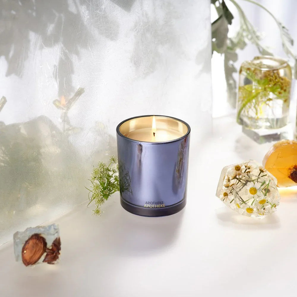 Cardamom Chestnut Classic Candle APOTHEKE