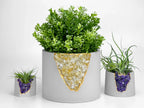 Ceramic Inch Citrine Planter Pot for Plants and Flowers, back view - House Of Avana