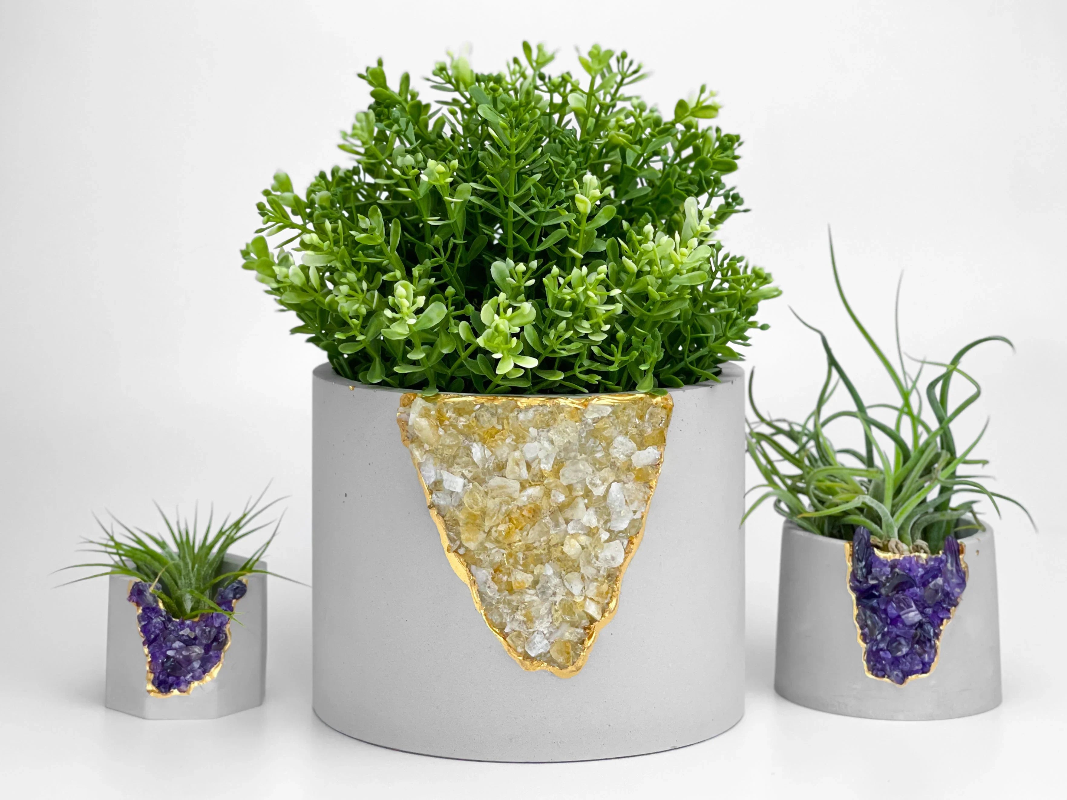 Ceramic Inch Citrine Planter Pot for Plants and Flowers, back view - House Of Avana