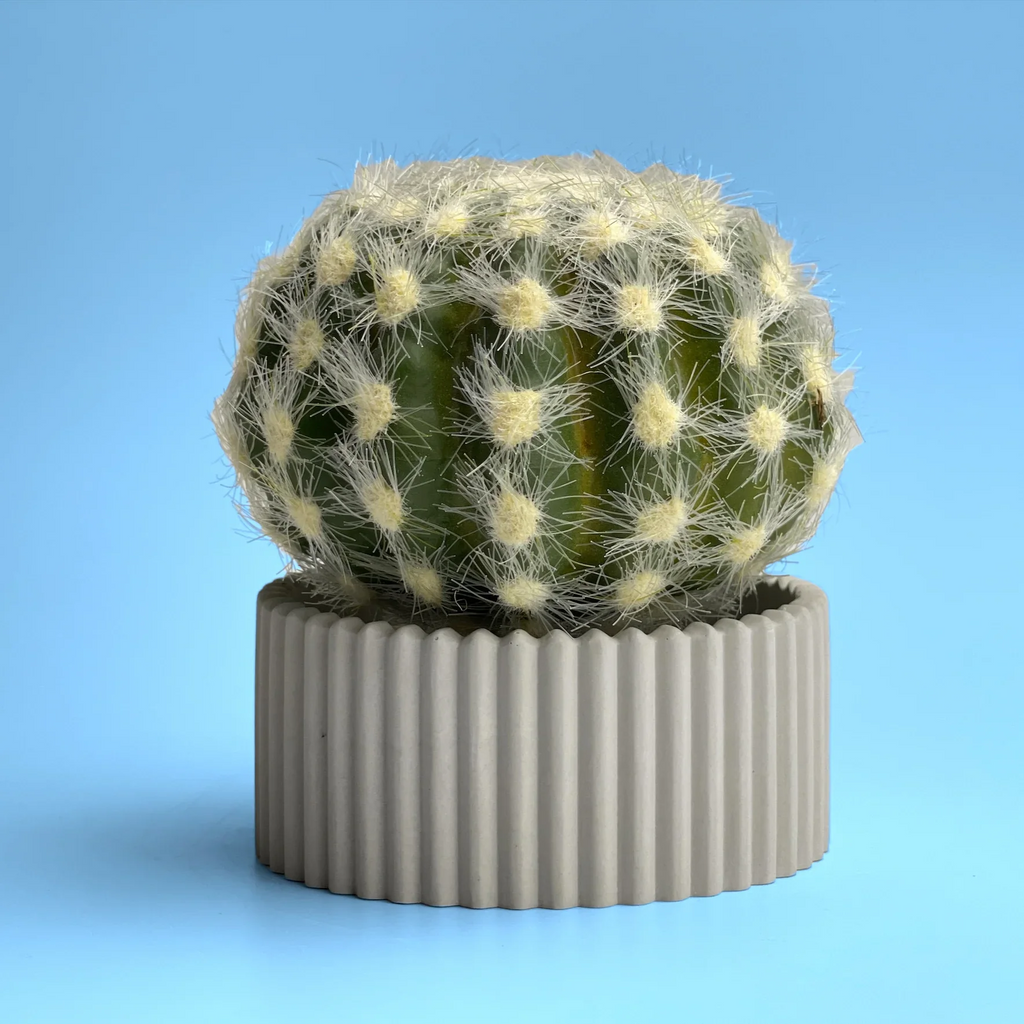 Ceramic Air Plant Holder Succulent Planter with Scandinavian Design, front view - House Of Avana