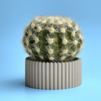 Ceramic Air Plant Holder Succulent Planter with Scandinavian Design, front view - House Of Avana