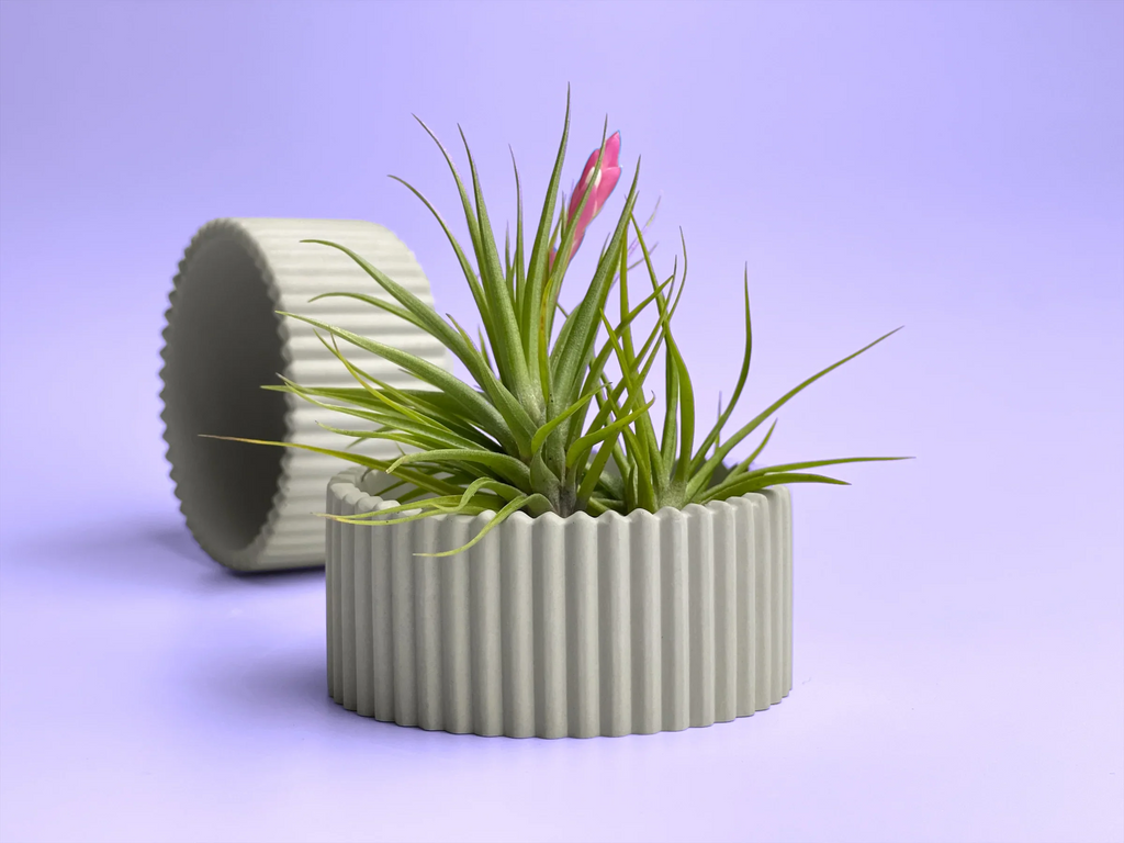 Ceramic Air Plant Holder Succulent Planter with Scandinavian Design, back view - House Of Avana