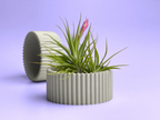 Ceramic Air Plant Holder Succulent Planter with Scandinavian Design, back view - House Of Avana