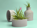 Ceramic Air Plant Holder Succulent Planter with Scandinavian Design, side view - House Of Avana