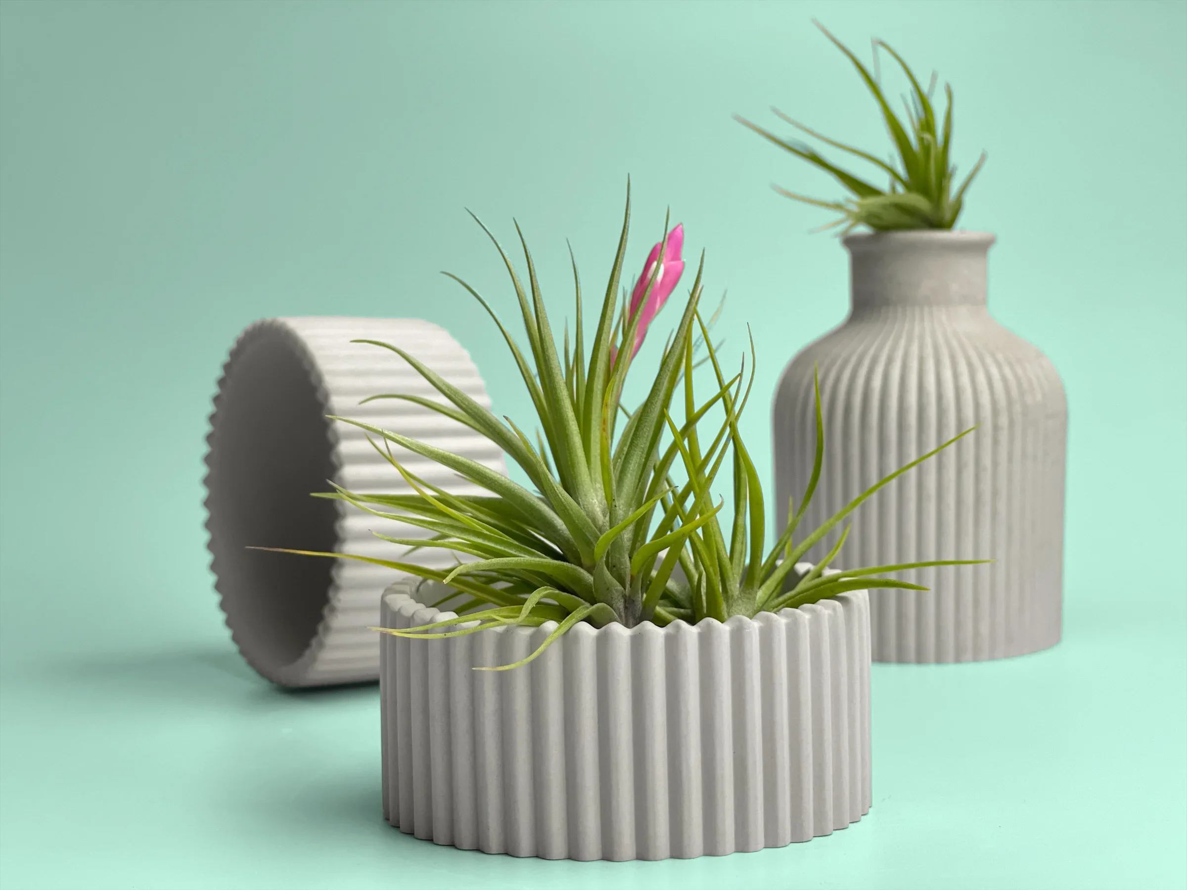 Ceramic Air Plant Holder Succulent Planter with Scandinavian Design, side view - House Of Avana