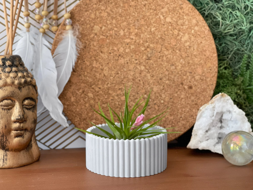 Scandinavian Air Plant Holder | Succulent Planter AURA 8 HOME