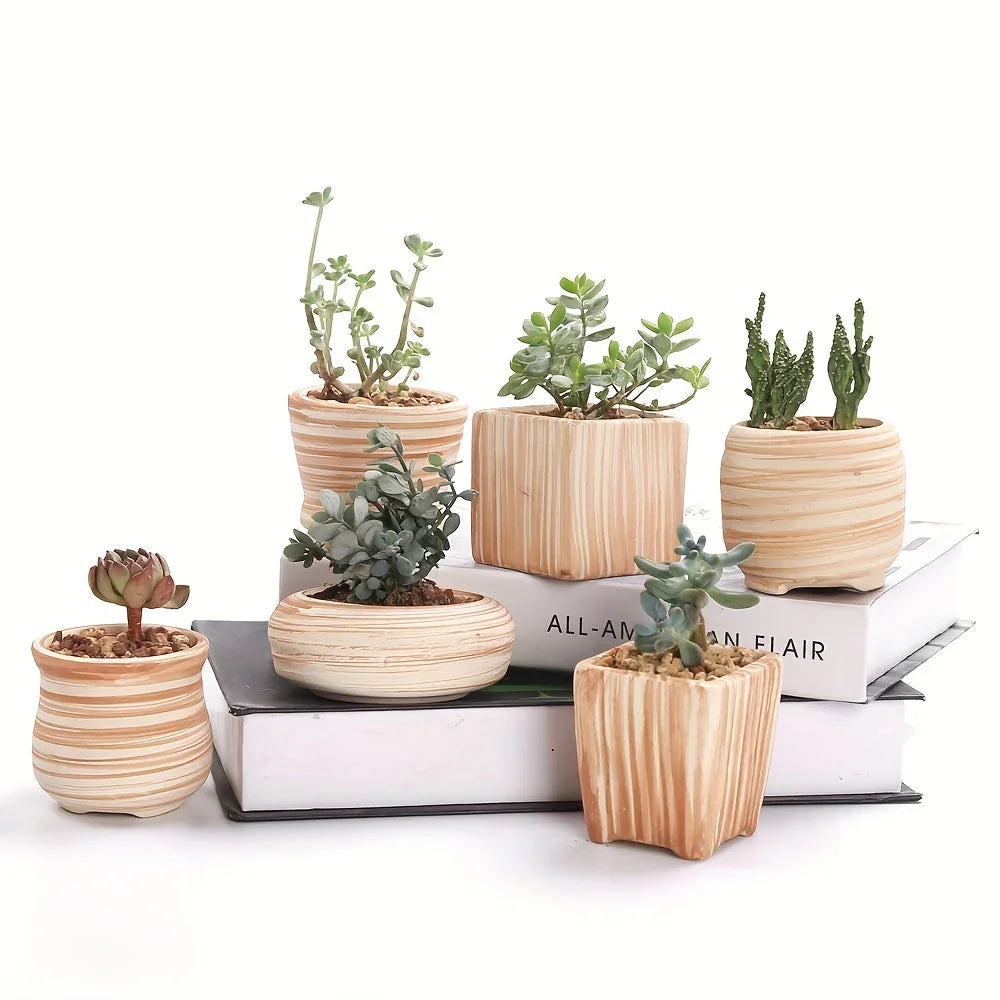SUN-E 6pcs/Set Mini Plant Pots Pattern Succulent Plant Pot Cactus Pot Flower Pot Decorative Ceramic Planter for Home House Office Outdoor Garden Container Planter Perfect Gift Idea for Women with Drain Hole 2.5Inch/6.5cm (Pla House Of Avana