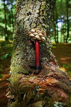 Chacha Oleander Seed Pod Shaker | Handmade Wooden Handle Rainforest Instrument
