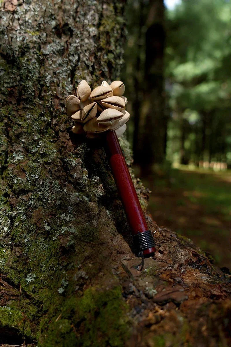 Chacha Oleander Seed Pod Shaker | Handmade Wooden Handle Rainforest Instrument