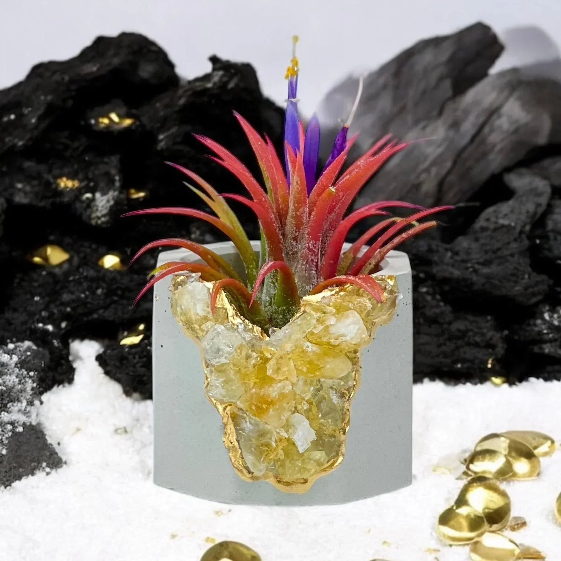 Citrine Geode Planter, Natural Stone Container with Raw Crystal Formation, front view - House Of Avana