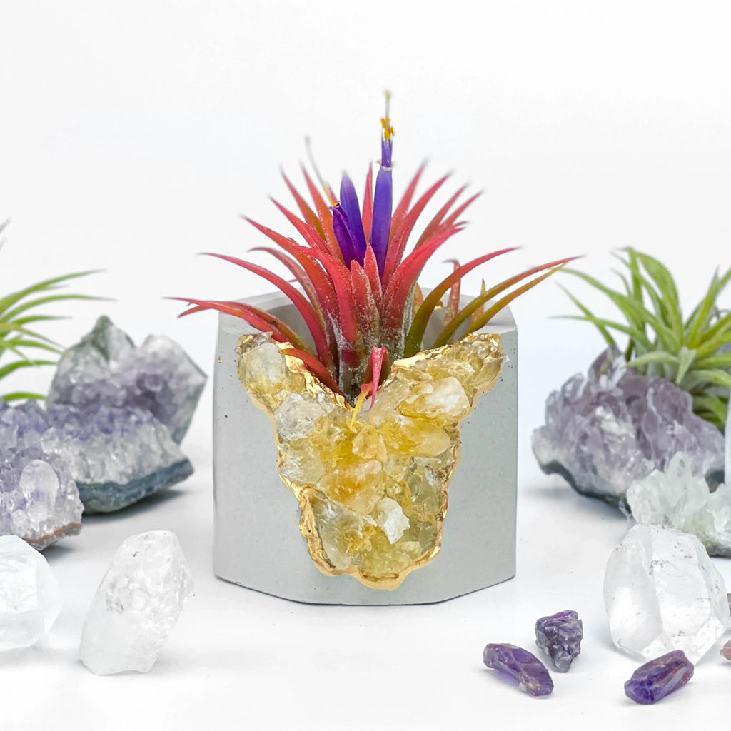 Citrine Geode Planter, Natural Stone Container with Raw Crystal Formation, side view - House Of Avana