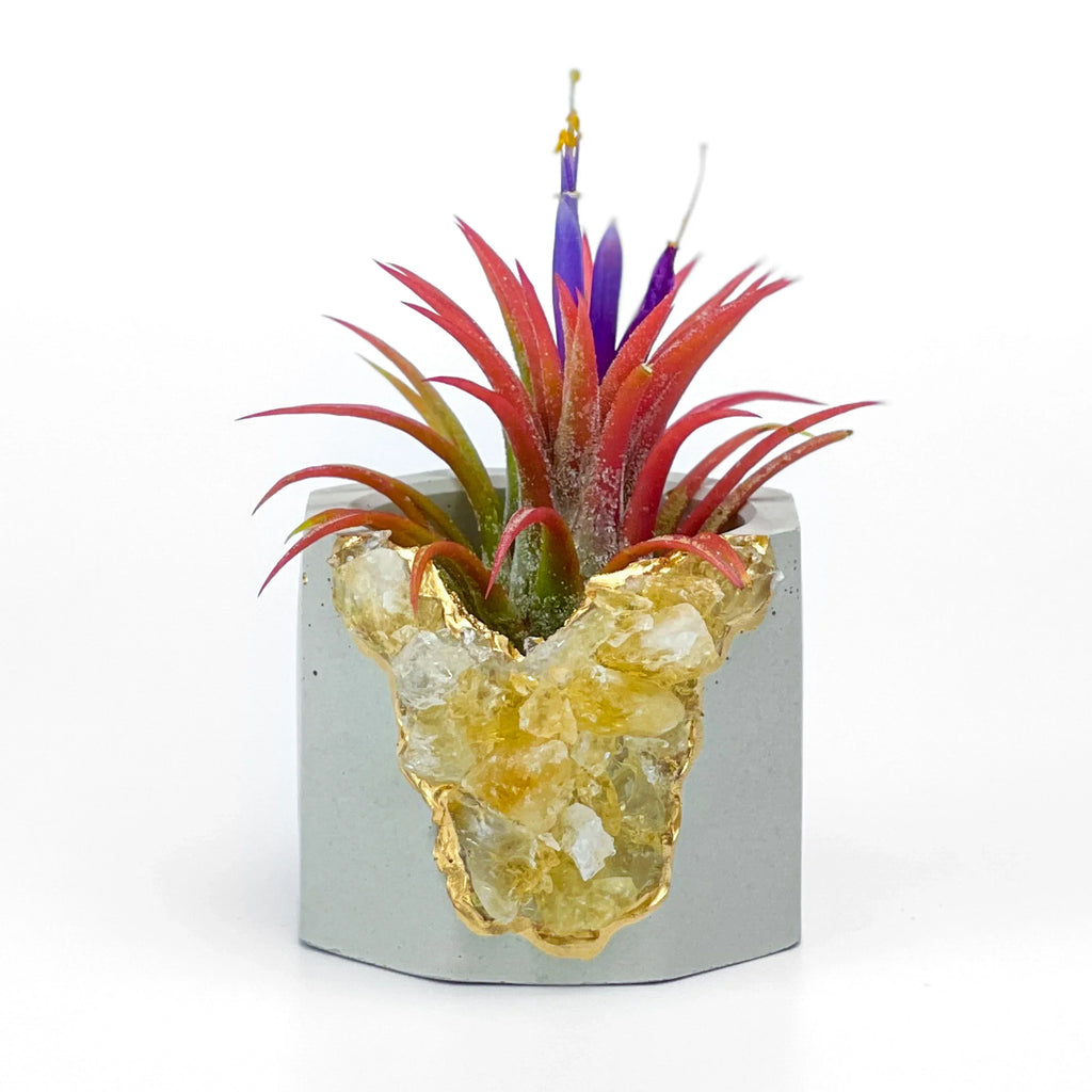 Citrine Geode Planter, Natural Stone Container with Raw Crystal Formation, detail shot - House Of Avana