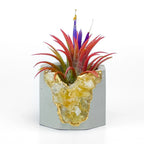 Citrine Geode Planter, Natural Stone Container with Raw Crystal Formation, detail shot - House Of Avana