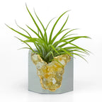 Citrine Geode Planter, Natural Stone Container with Raw Crystal Formation, top view - House Of Avana