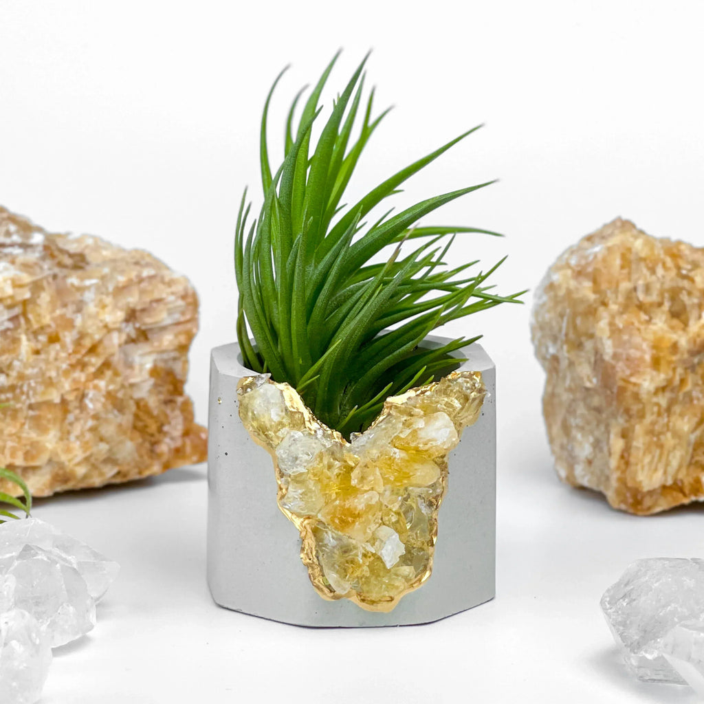 Citrine Geode Planter, Natural Stone Container with Raw Crystal Formation, angled view - House Of Avana