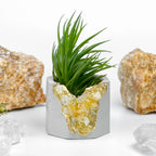 Citrine Geode Planter, Natural Stone Container with Raw Crystal Formation, angled view - House Of Avana