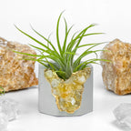 Citrine Geode Planter, Natural Stone Container with Raw Crystal Formation, angled view - House Of Avana