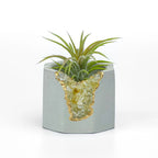 Yellow citrine geode planter, natural stone décor - House of Avana