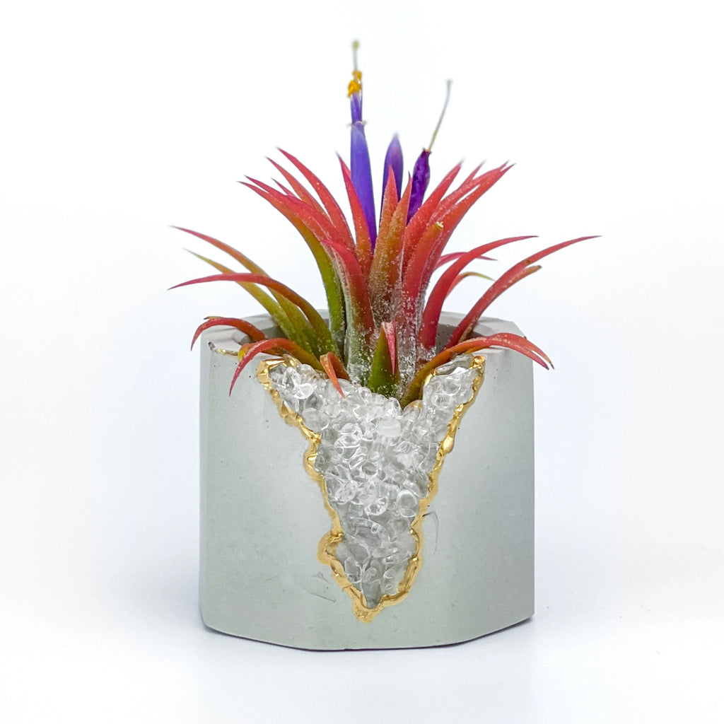 CLEAR QUARTZ GEODE PLANTER AURA 8 HOME