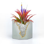 CLEAR QUARTZ GEODE PLANTER AURA 8 HOME
