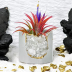 Clear Quartz Geode Planter with Natural Crystal Formation, front view - House Of Avana