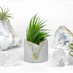 Clear Quartz Geode Planter with Natural Crystal Formation, side view - House Of Avana