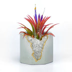 Clear Quartz Geode Planter with Natural Crystal Formation, detail shot - House Of Avana