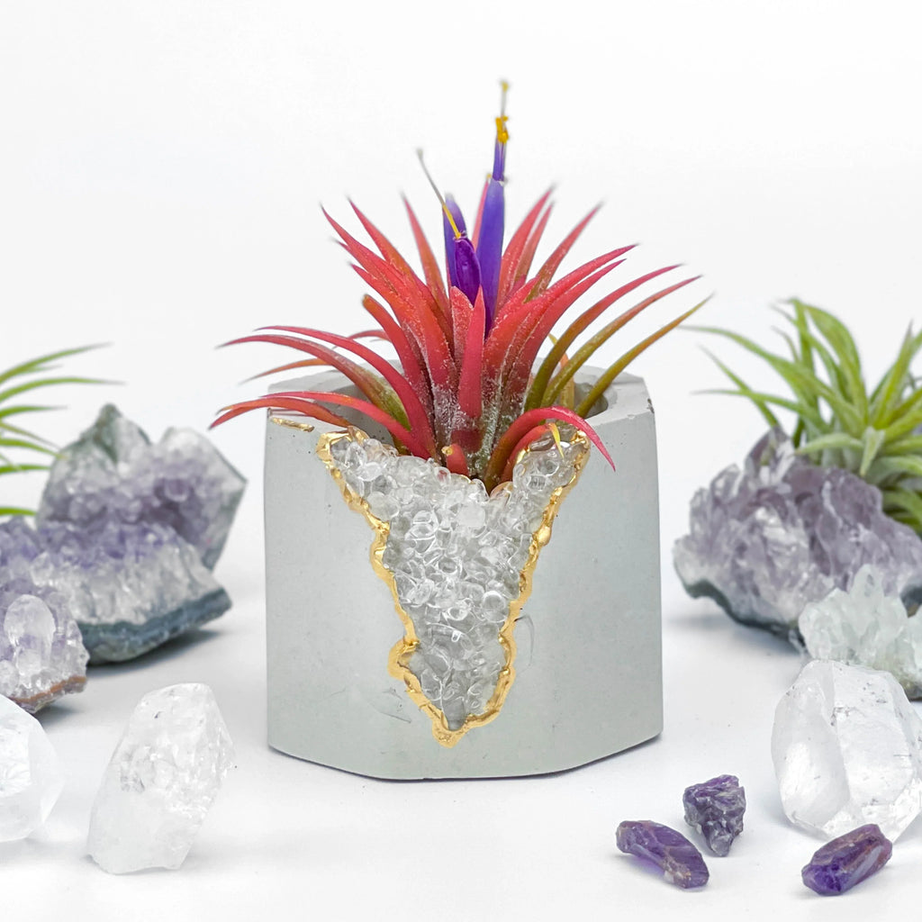 Clear Quartz Geode Planter with Natural Crystal Formation, angled view - House Of Avana