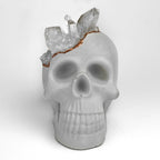 Clear Quartz Skull Head - House Of Avana