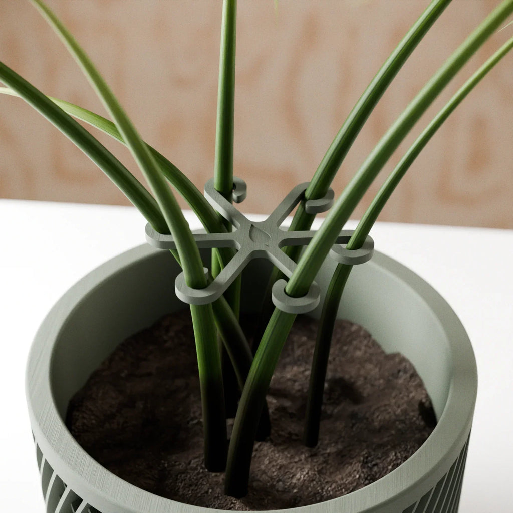 Climbing Plant Stem Support Stakes, back view - House Of Avana