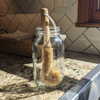 Coconut Cup Brush Zero Waste Outlet