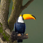11.4" Tall Toucan Tree Hugging Garden Statue - Vibrant Multi-Color Resin Tropical Bird Sculpture with Expressive Eyes & Black/White Feathers, Indoor/Outdoor Hanging Decor for Lawn, Porch, Patio - No Electricity Needed, Durabl House Of Avana