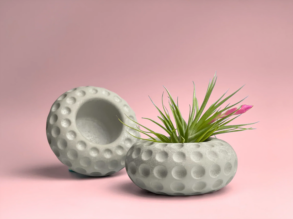 Concave Dots Air Plant Holder | Succulent Planter, side view - House Of Avana