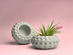 Concave Dots Air Plant Holder | Succulent Planter, side view - House Of Avana