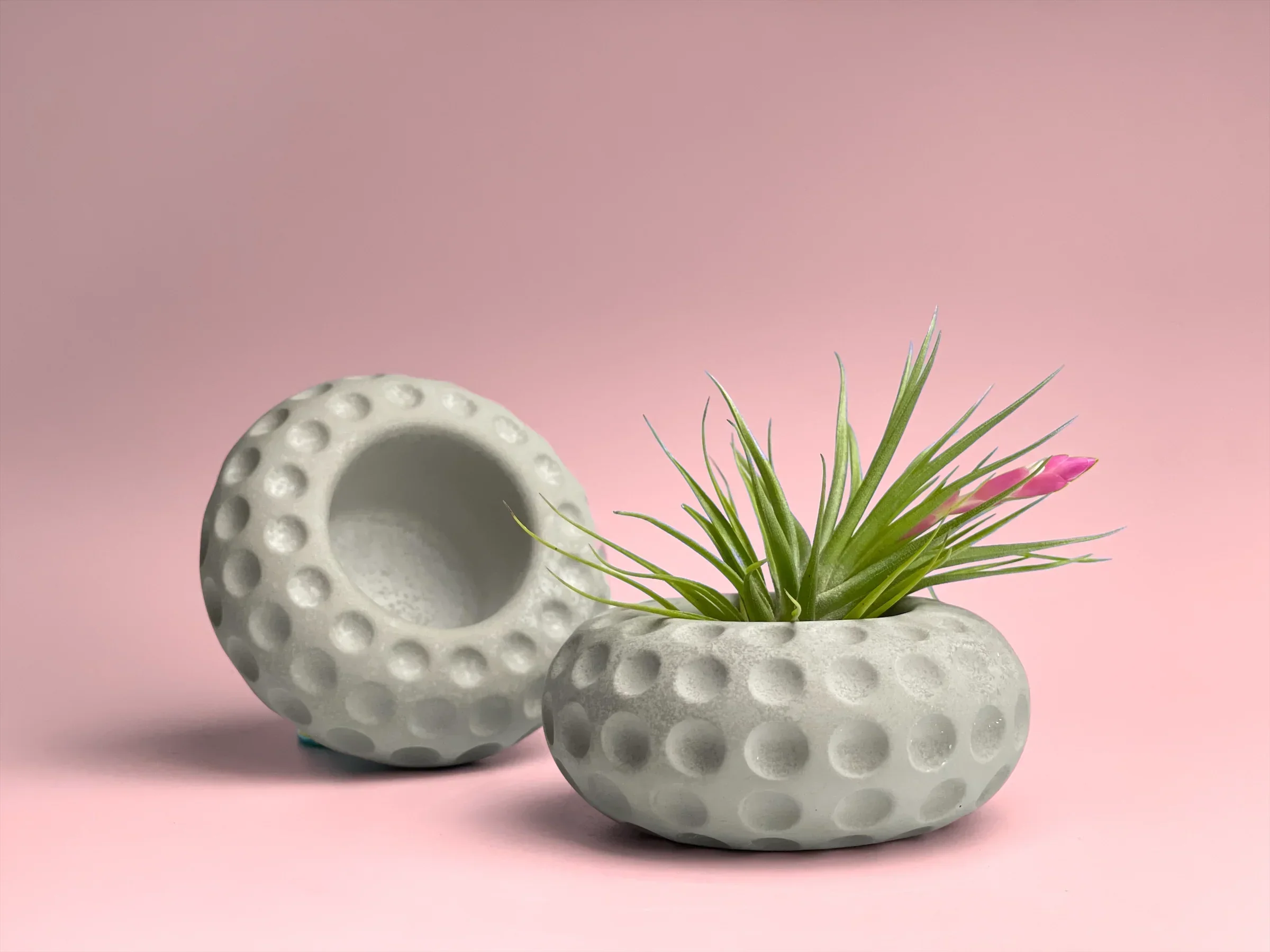 Concave Dots Air Plant Holder | Succulent Planter, side view - House Of Avana