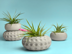 White ceramic concave dots air plant holder, unique succulent planter - House of Avana