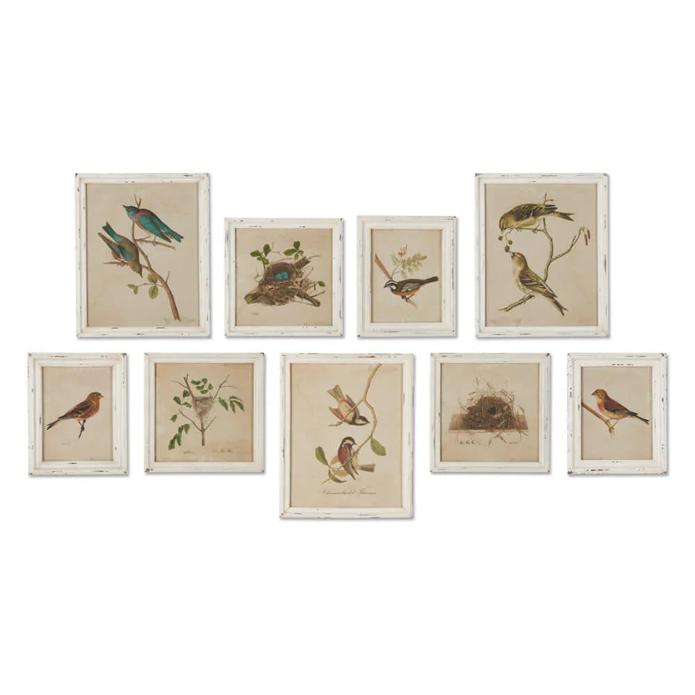 Watercolor bird illustrations on white background, distressed wood frame, nesting scenes - House of Avana