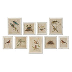 Watercolor bird illustrations on white background, distressed wood frame, nesting scenes - House of Avana