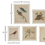 Watercolor bird illustrations on white background, distressed wood frame, nesting scenes - House of Avana