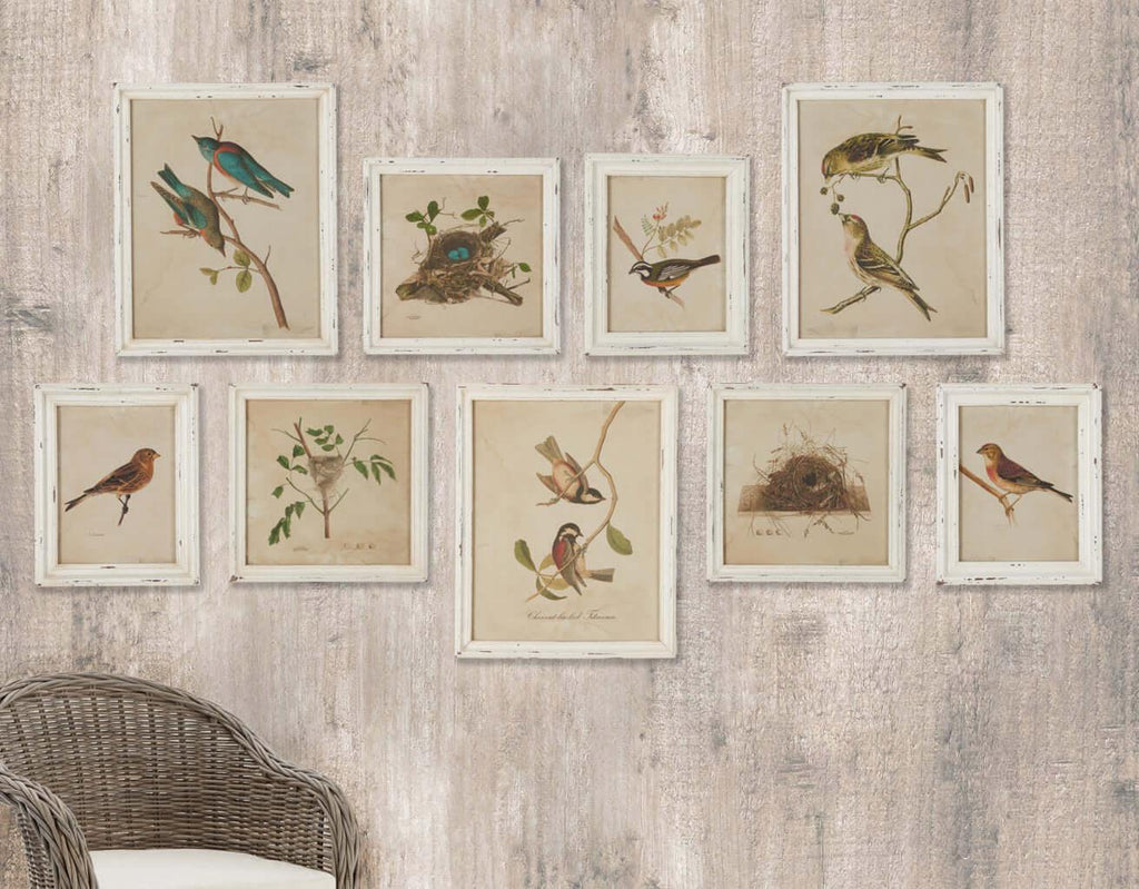 Watercolor bird illustrations on white background, distressed wood frame, nesting scenes - House of Avana