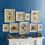 Watercolor bird illustrations on white background, distressed wood frame, nesting scenes - House of Avana