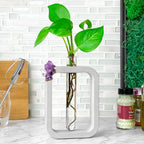 Wooden propagation station with glass vases, self-watering planter - House of Avana