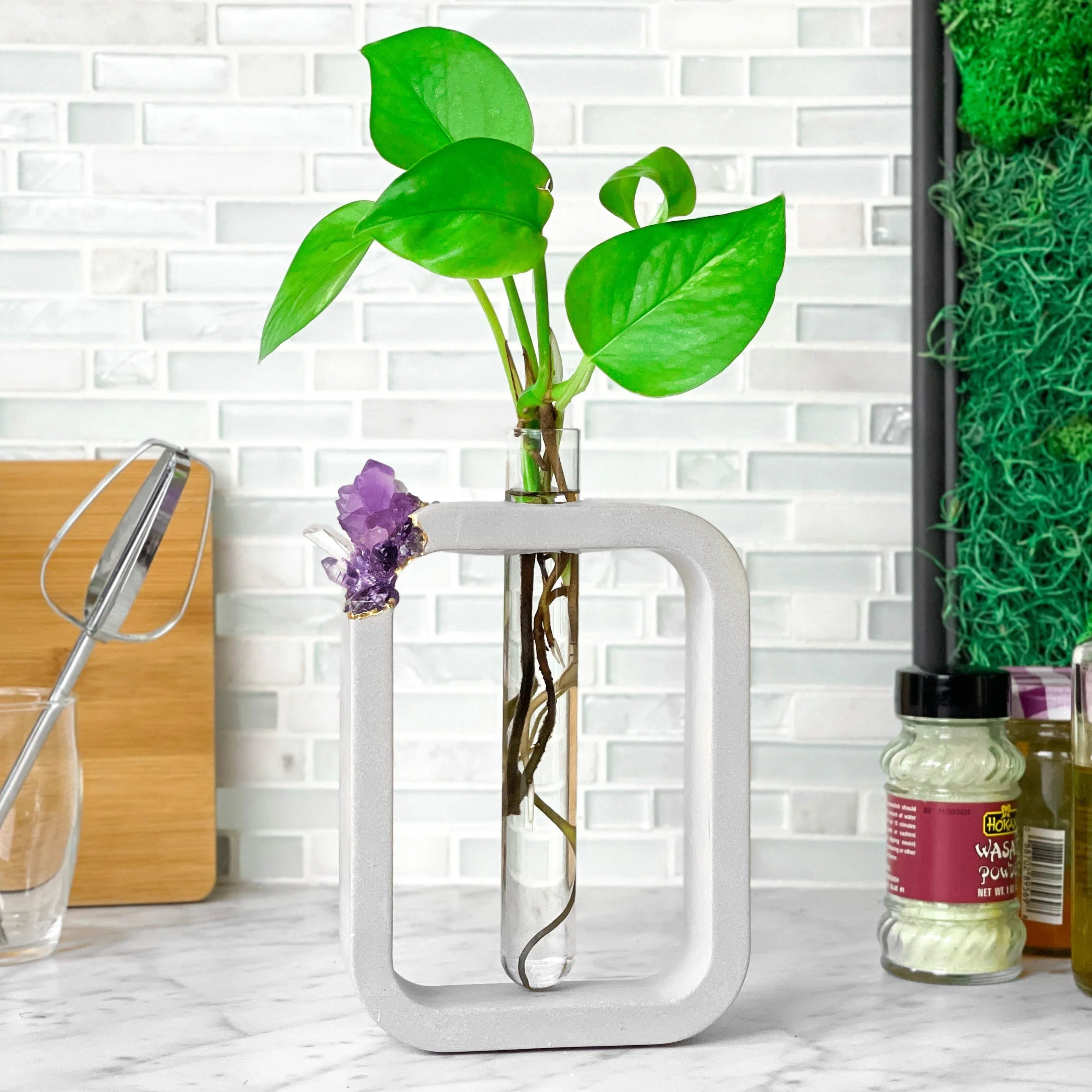 Wooden propagation station with glass vases, self-watering planter - House of Avana