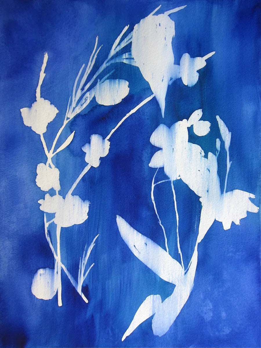 Cyanotype Art Print – Archival Wall Art