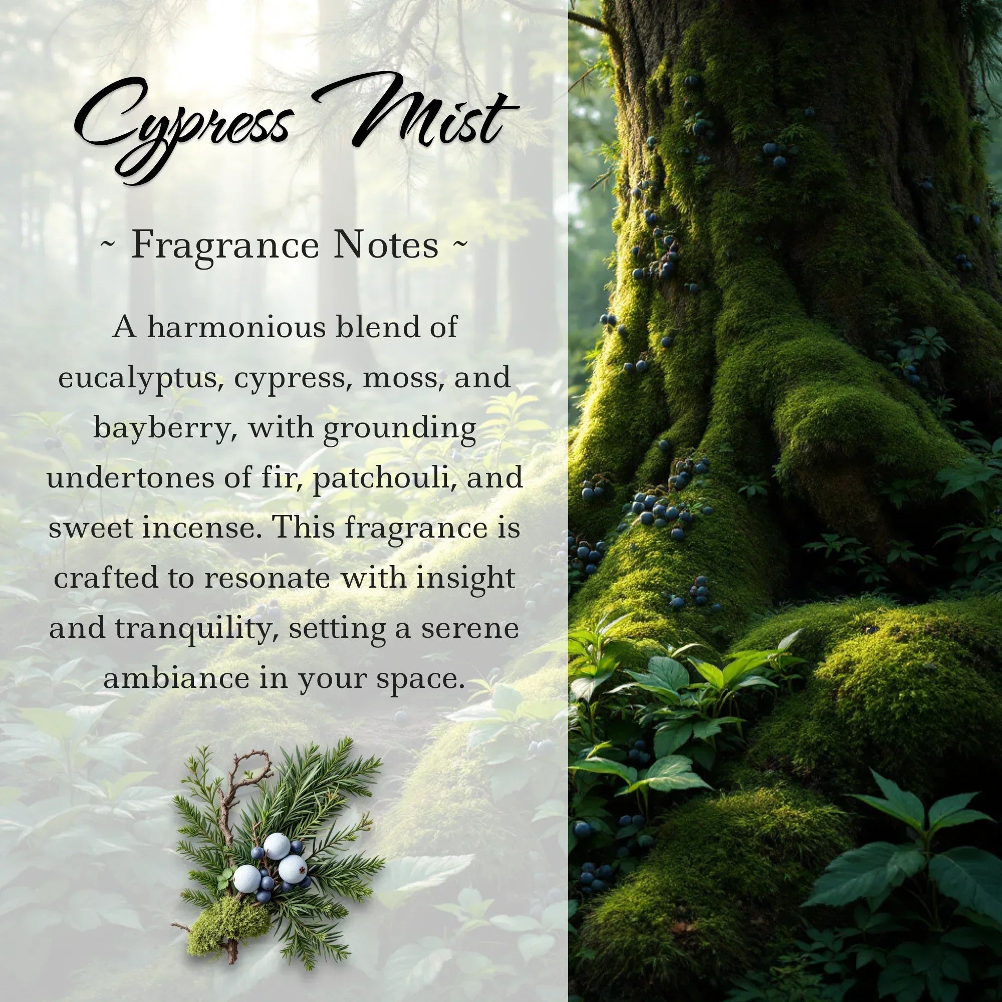 Cypress Mist, Premium Coconut-Soy Wax Tea Light Crystal Candle, 1oz