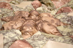 DaDa Bedding Country Rustic Camo Earthy Floral Sandy Beige Green Comforter Set (BM6118L-1) DaDalogy Bedding Collection