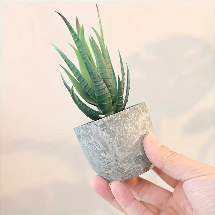 Succulent Plant Set in Concrete Pots, Low Maintenance Indoor Decor, angled view - House Of Avana